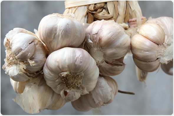 Garlic - Image Copyright: Resul Muslu / Shutterstock